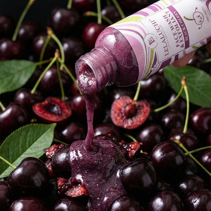 THE REJUVENATION COLLECTION